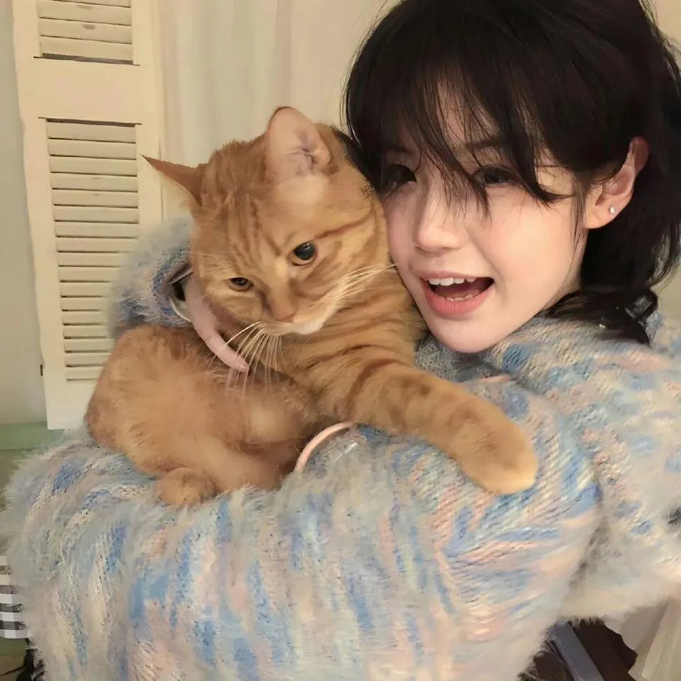 花落莺啼春